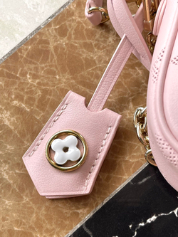 Louis Vuitton Ivy Wallet On Chain Bag