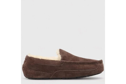 UGG Mens Ascot Chocolate