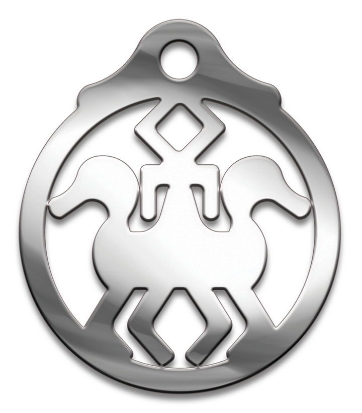 Амулет Славянский № 34 Даждьбог, медицинская сталь