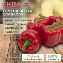 ЕКЛА F1 семена перца сладкого (Syngenta | Alexagro)