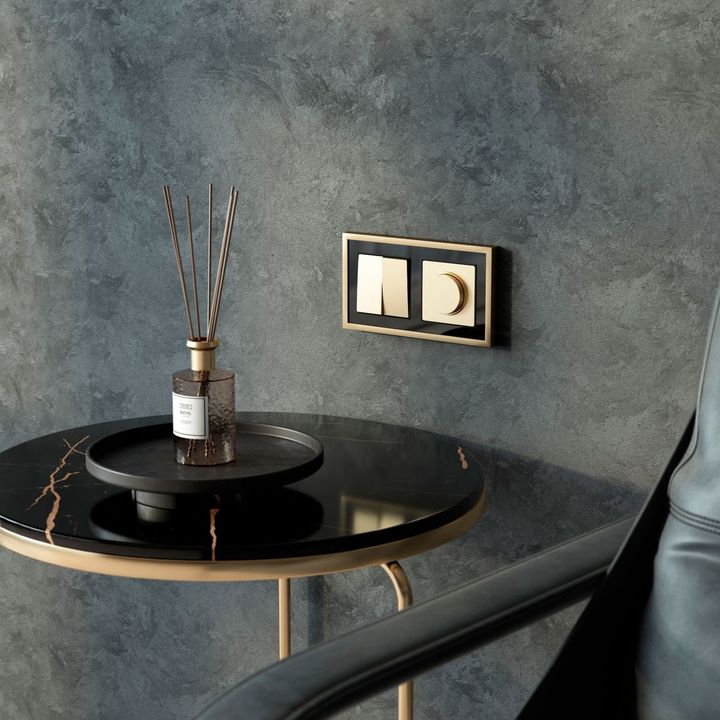 Диммер Werkel N шампань W1142011 4690389213007