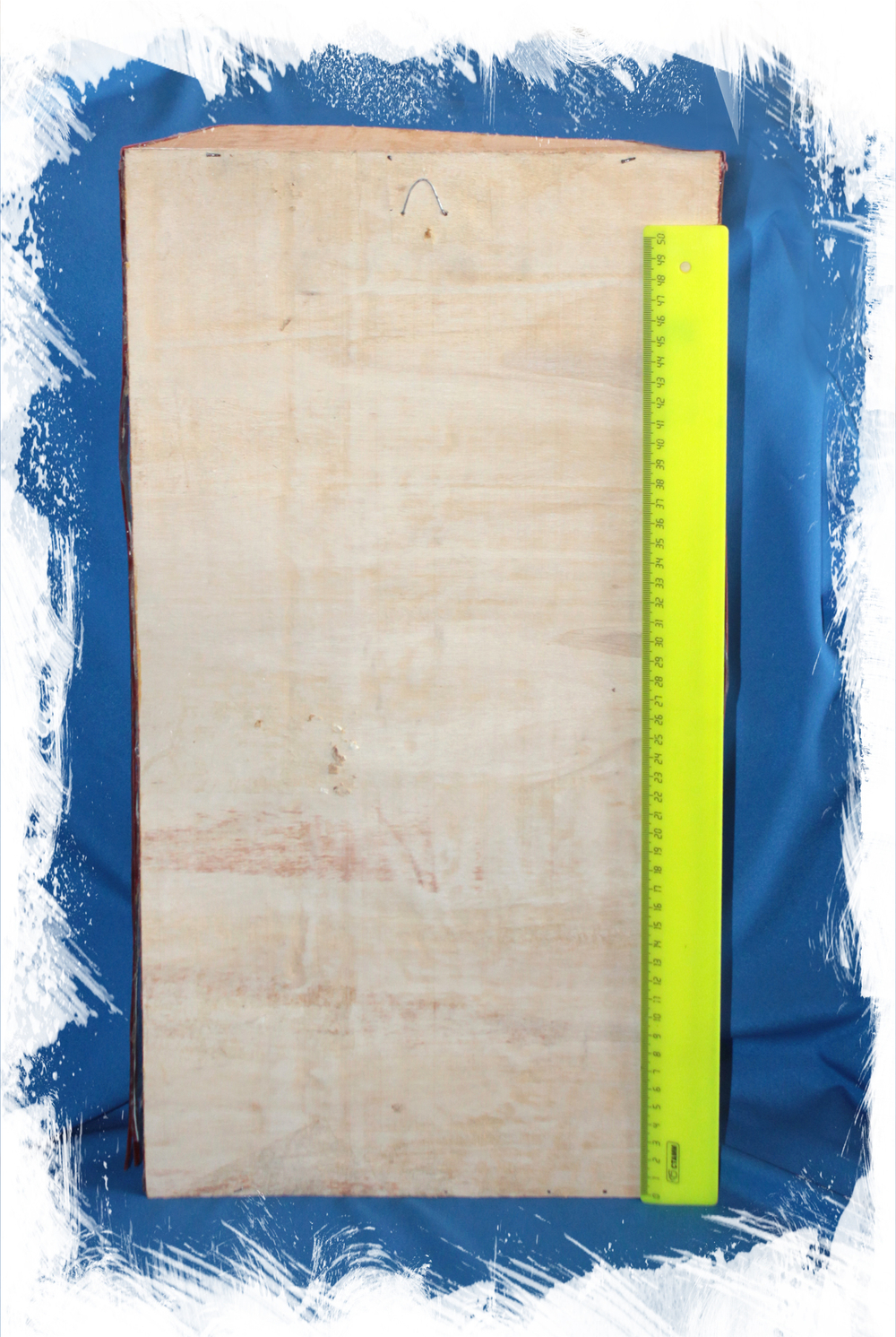 Котовая Акула в коробке