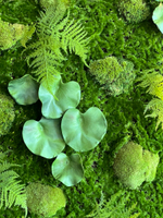 Панно из микса стабилизированного мха, искусственного мха и растений.