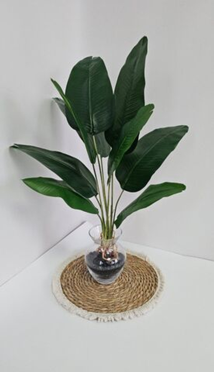 Куст банана с воздушными корнями / Арт 6355