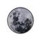 Настенно потолочный светодиодный светильник Escada Planet 605/S LED Moon