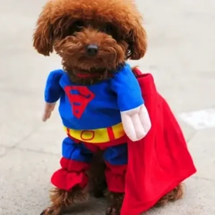 Костюм для собак "Супермен", спина 16-17 см