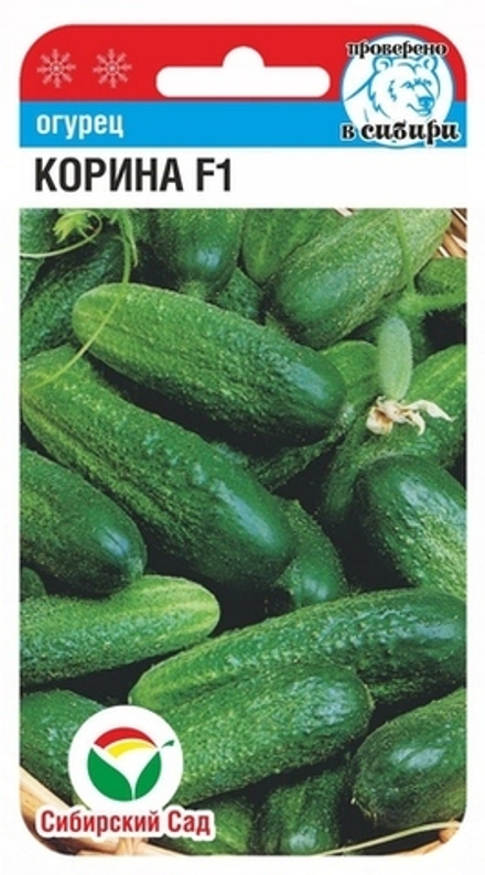 Огурец Коринна Сибсад