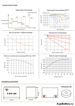 Аккумулятор RuTrike 6-EVF-100 (AGM)