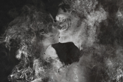 Коллекция EUPHORIA 19