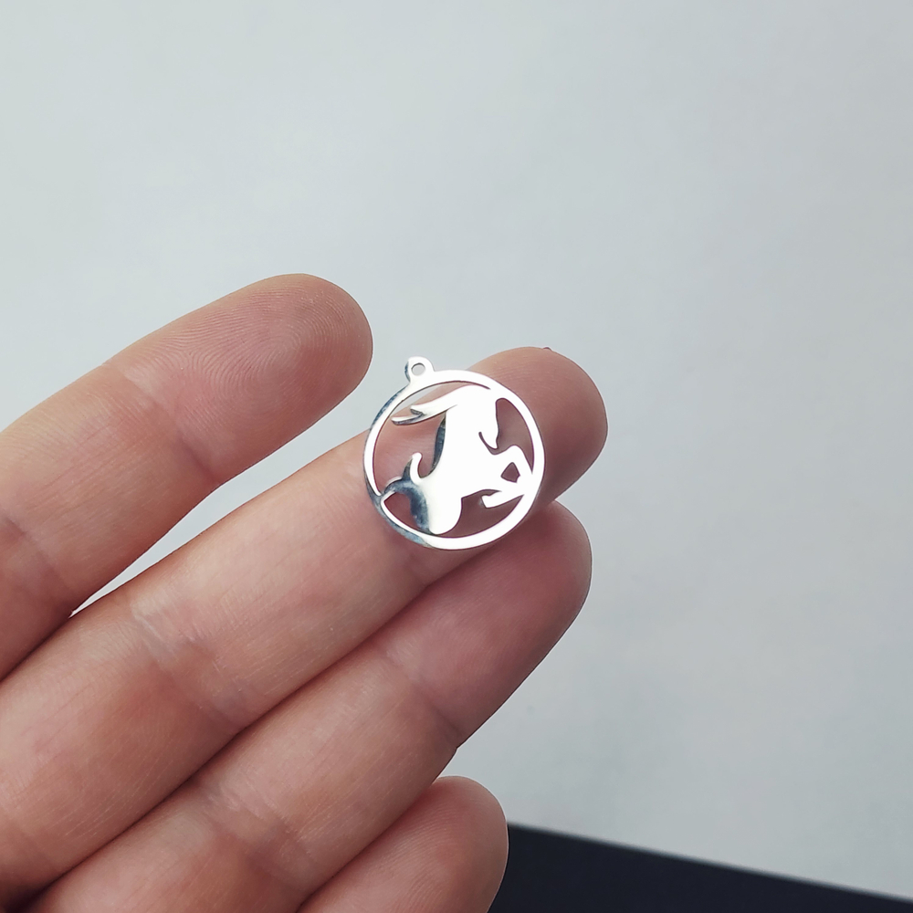 Знаки зодиаков, подвески сталь, р-р 20×17.5мм, штучно