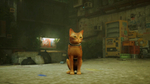 Stray [PS4] new
