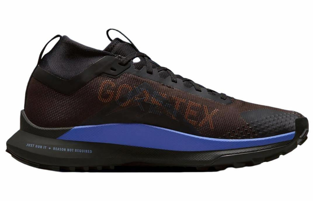 Кроссовки Nike Pegasus Trail 4 Gore-Tex