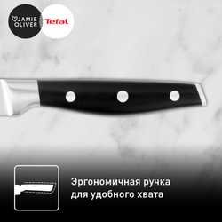 Набор ножей для стейка Tefal 4 предмета Jamie Oliver 12 cм K2670849