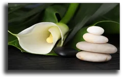 Постер "Каллы"