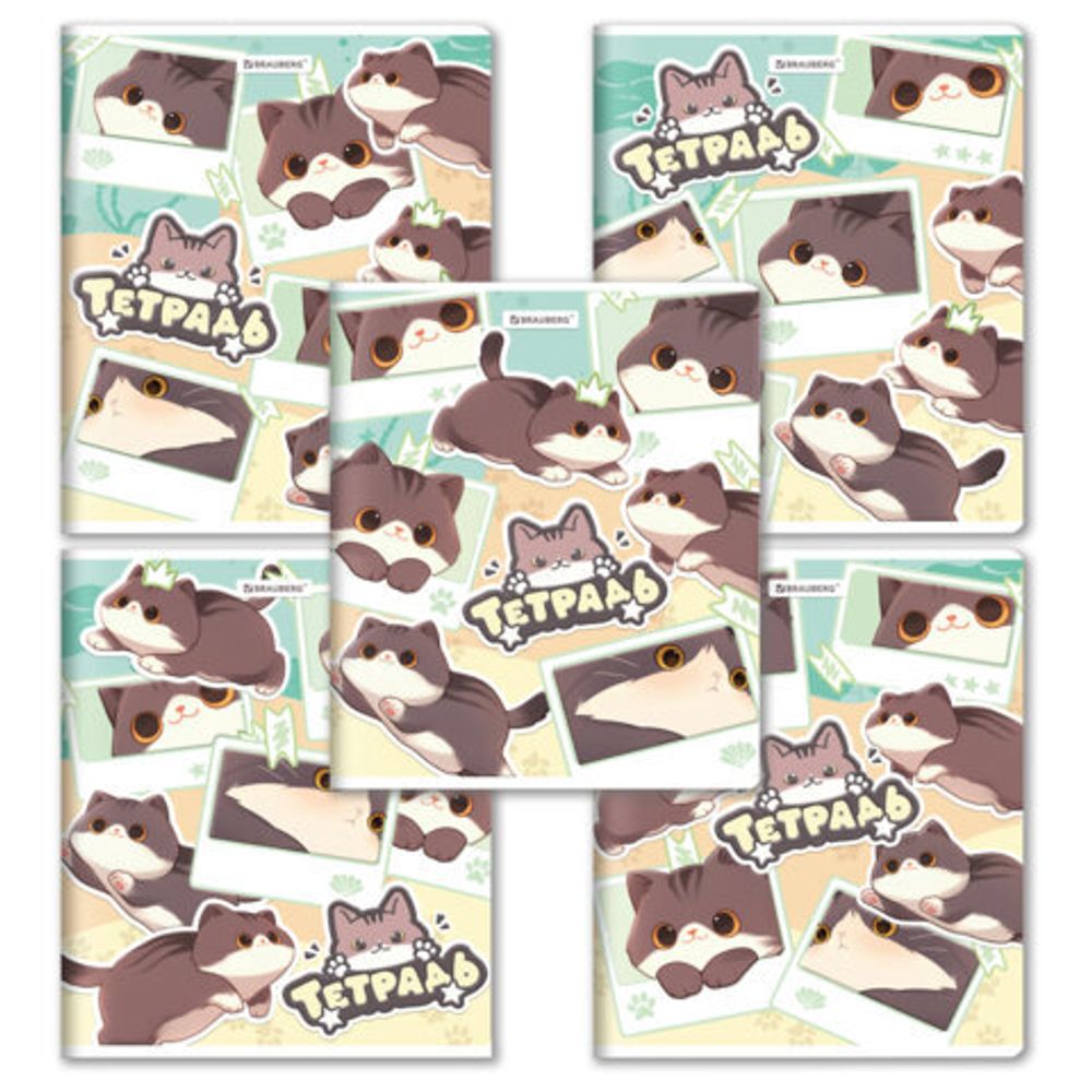 Тетрадь А5 48 л. BRAUBERG скоба, клетка, выборочный лак, кросс-серия МИЛЫЕ КОТЫ, 405193