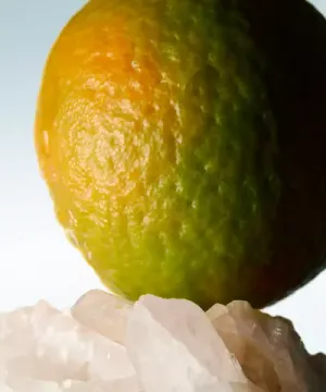 Dries Van Noten Mystic Moss Eau de Toilette