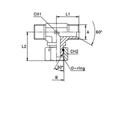 Соединение PFNT BSP 2"