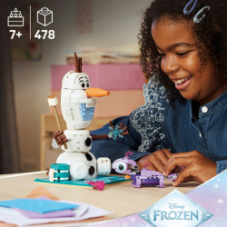 LEGO Disney - Пикник Олафа и Бруни 43287