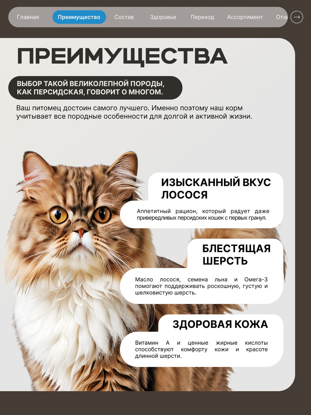 Корм сухой для взрослых кошек породы Персидская, с лососем, 5 кг, QUATTRO