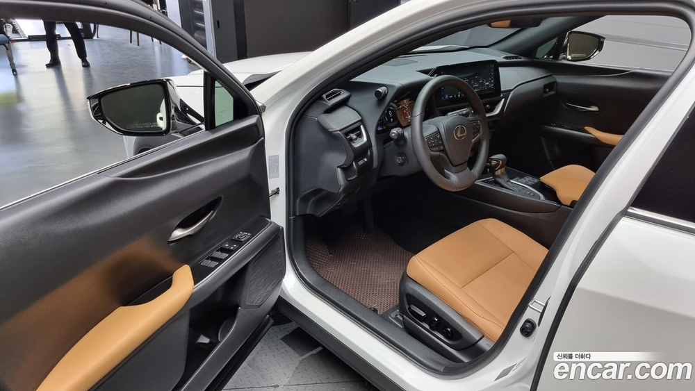 Lexus UX250h 2.0 2WD (12.2023)