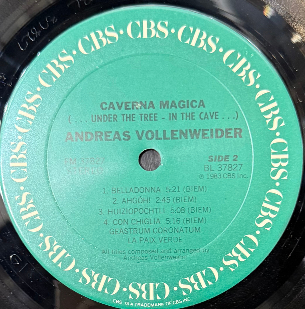Виниловая пластинка Andreas Vollenweider ‎– Caverna Magica LP