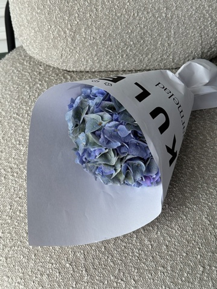 Кулек из синей гортензии