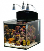 Морской аквариум Aqua Medic Blenny 80л