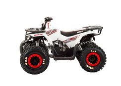 Квадроцикл MOTOLAND 125 Wild