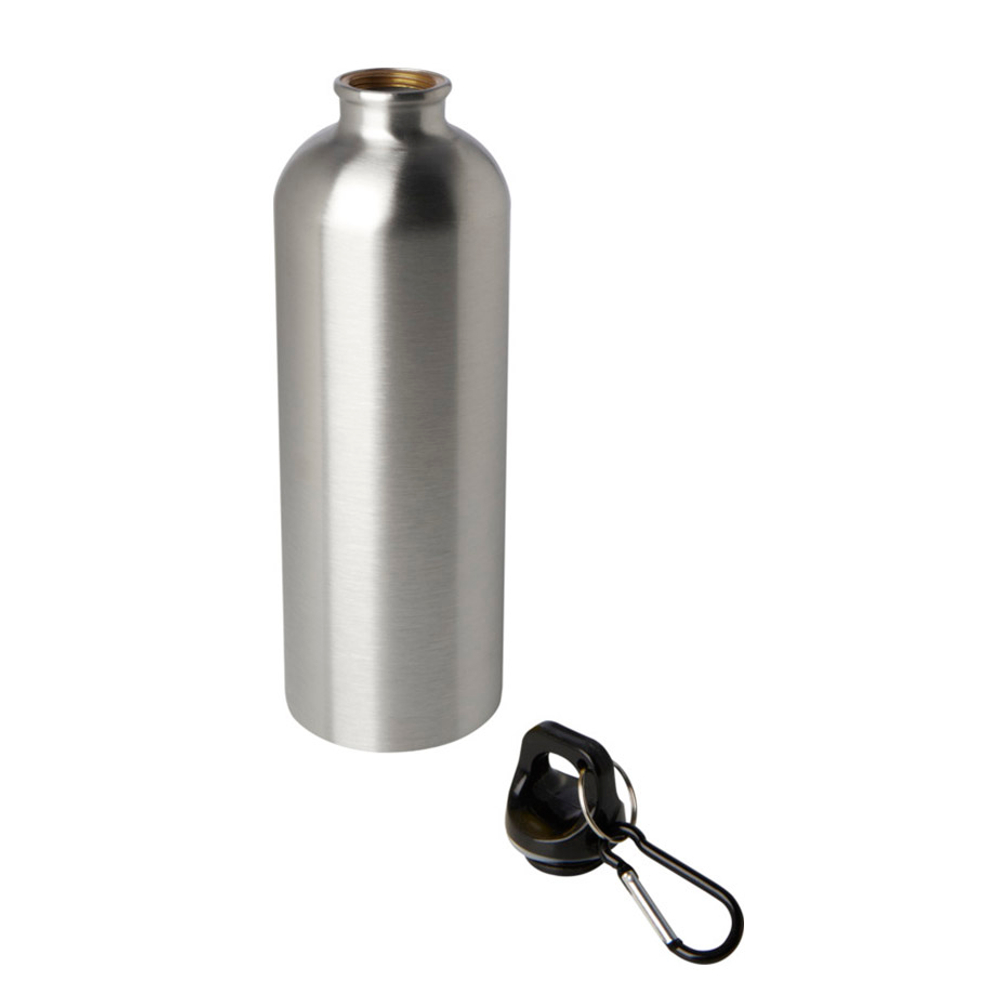 10086181_e1 копия