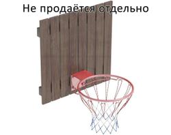 Кольцо баскетбольное серия TS со щитом модель 4