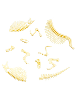 Раскопки Найди окаменелости Спинозавра 11 эл