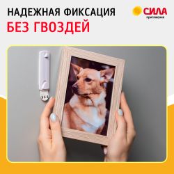 Крючки СИЛА SCH-P120-W2 для картин с технологией бесследного удаления 2 шт 2 полоски до 1,2 кг белый