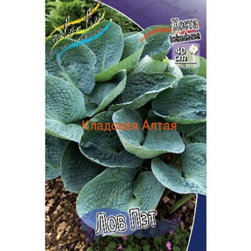 Хоста Лов Пат