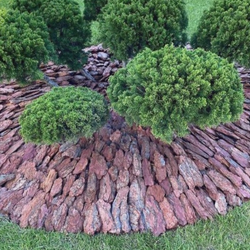 Кора сибирской лиственницы фракция 10+ Закупка М14 Получение конец мая 2025