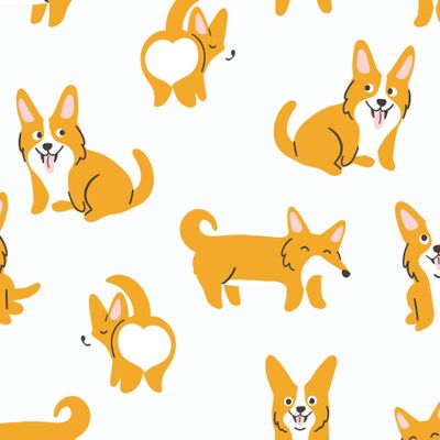 Корги на белом