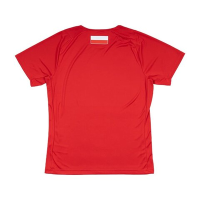 Баскетбольная футболка Adidas match T-shirt of Polish volleyball players Paris '24, red