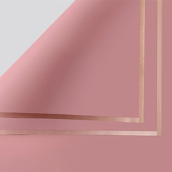 ЛИСТ матовый с каймой 58*58/20шт №2