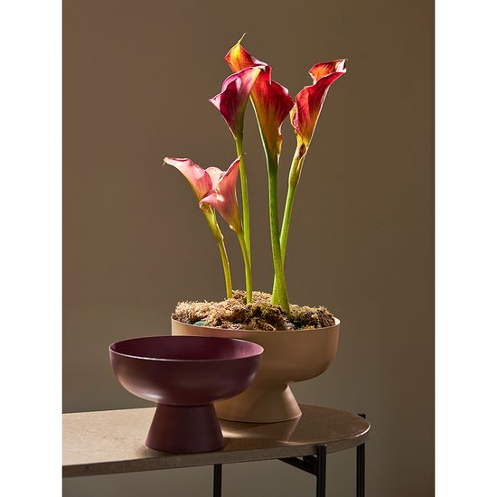 Блюдо на ножке vivlend, D25,5 см, бежевое