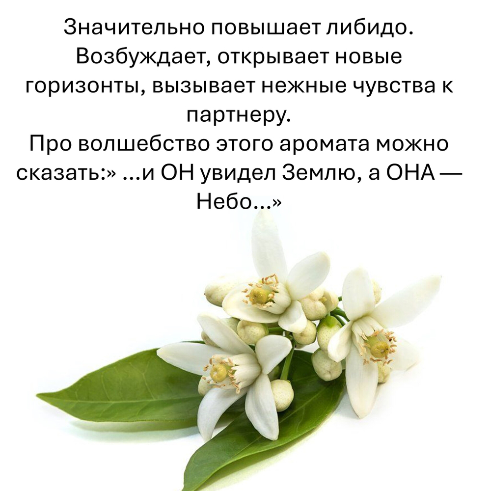 Нероли, кубики восковые для ароматизации, 10 штук