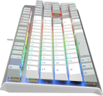 Клавиатура  A4Tech Fstyler FS100 Neon
