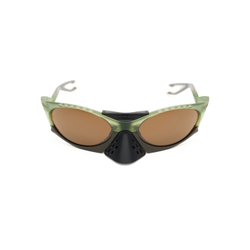 Очки Oakley Plantaris