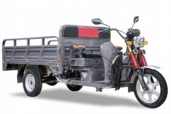 Грузовой электротрицикл Rutrike Алтай 2000 60V1500W