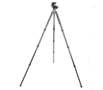 Штатив Benro Mach3 TMA28AHD2A с 3D-головкой