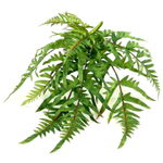 Папоротник оноклея 48 см