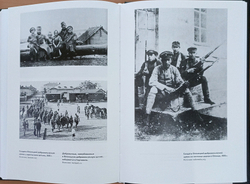 Финский излом. Финская интервенция в Карелии в 1918— 1922 гг. Том 1. От Кеми до Тарту. 1918—1920