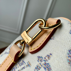 Louis Vuitton Speedy 20