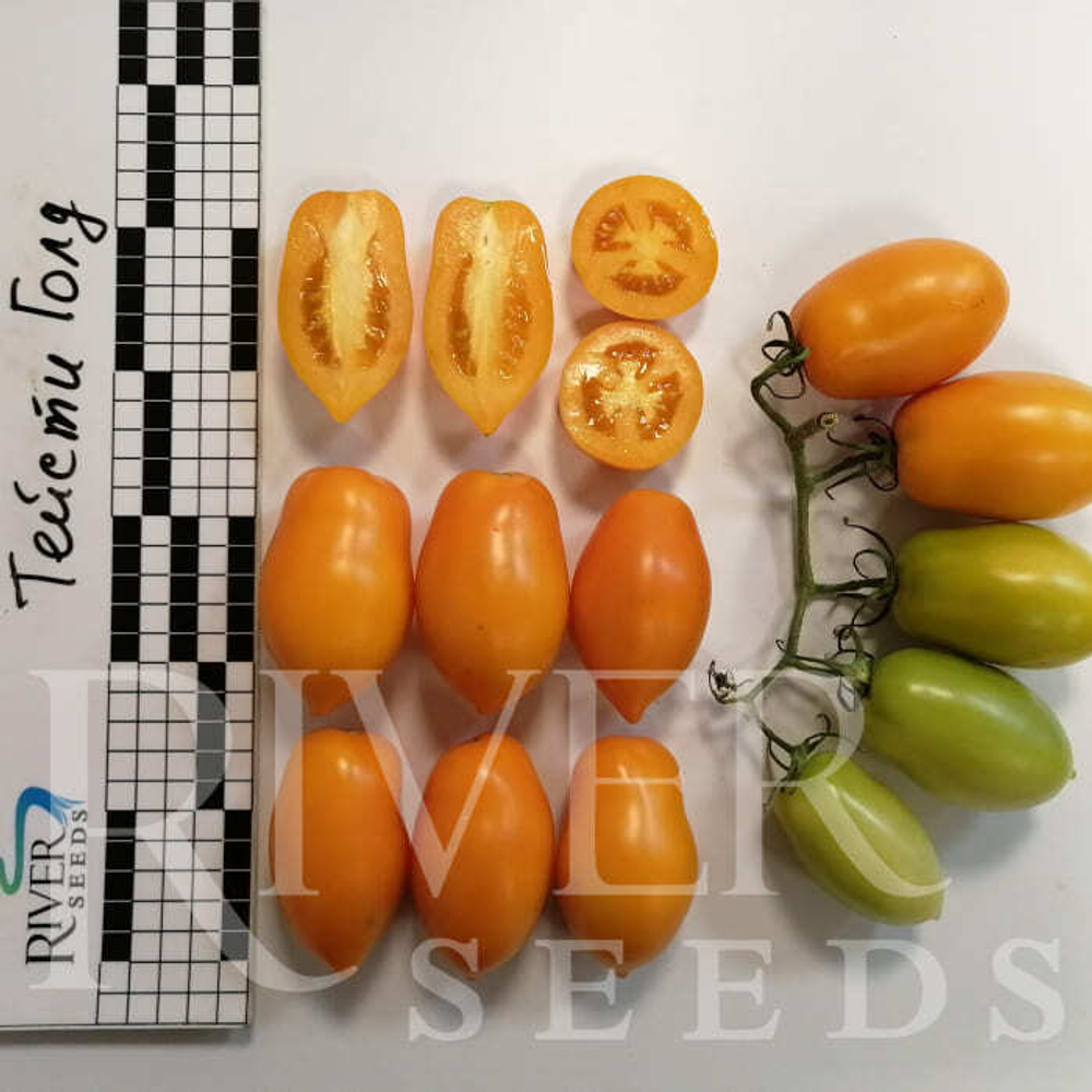 Томат Тейсти Голд F1 (50шт) Витагрин Профи