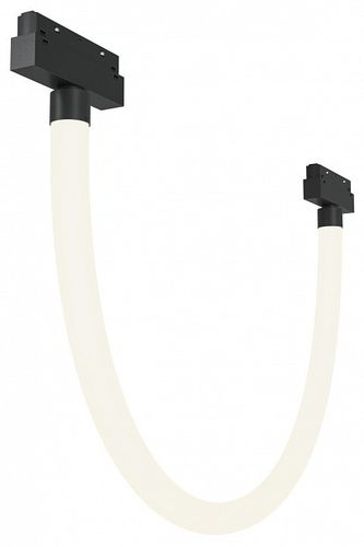 Трековый светильник Maytoni Technical TR101-2-20W4K-B