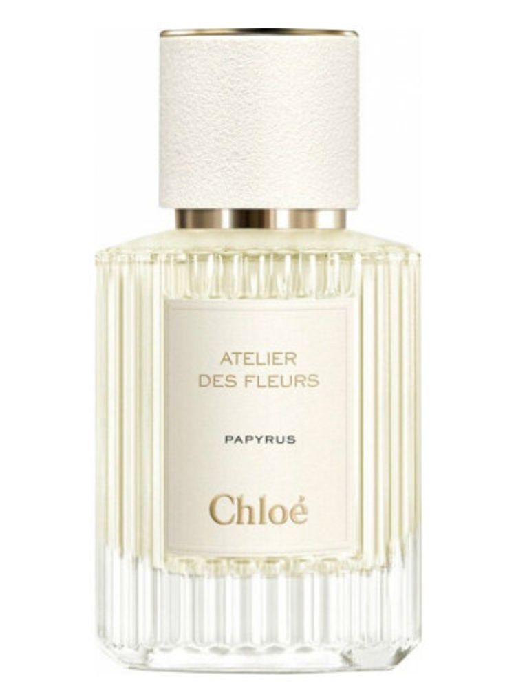 Chloé Papyrus