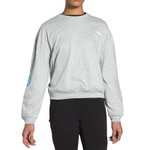 Толстовки THE NORTH FACE GC Graphic collection L/S, NF0A4QNT-DYX